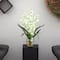 19" Green Dancing Lady Orchid Arrangement in Vase